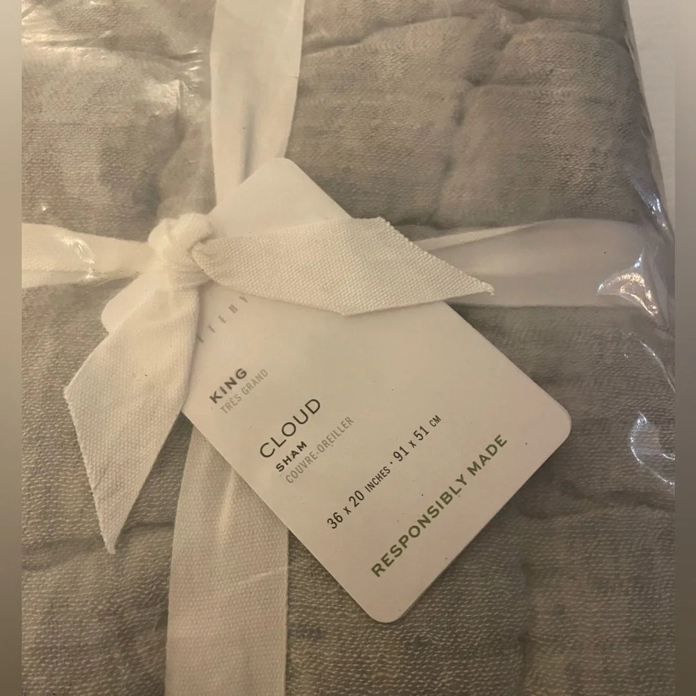 Pottery Barn Cloud Quilted King Sham in Chambray